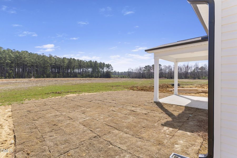 Backyard Backyard