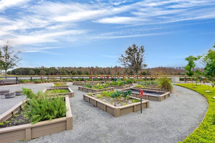 Community amenities in , Orlando (Image 63). Community amenities in , Orlando (Image 63).
