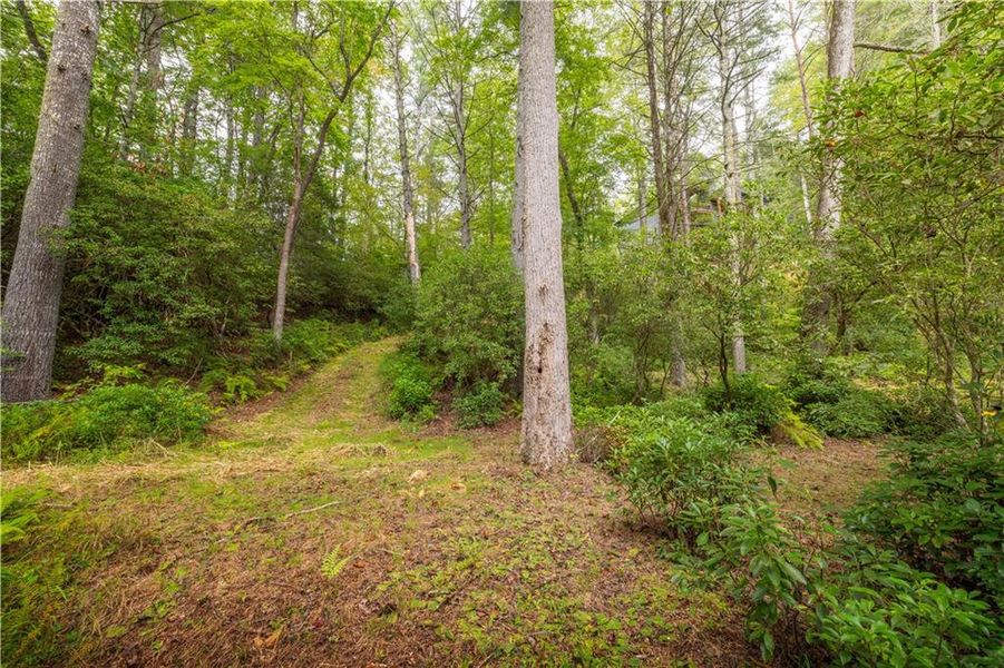 Natural landscape and outdoor views near  in Cherry Log (Image 58).