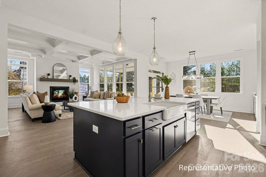 Furnished interior view inside a new home in Shepherds Trace, Clover (Image 13).