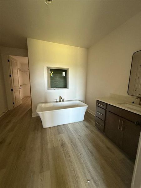 Furnished interior view inside a new home in , Madison (Image 9).