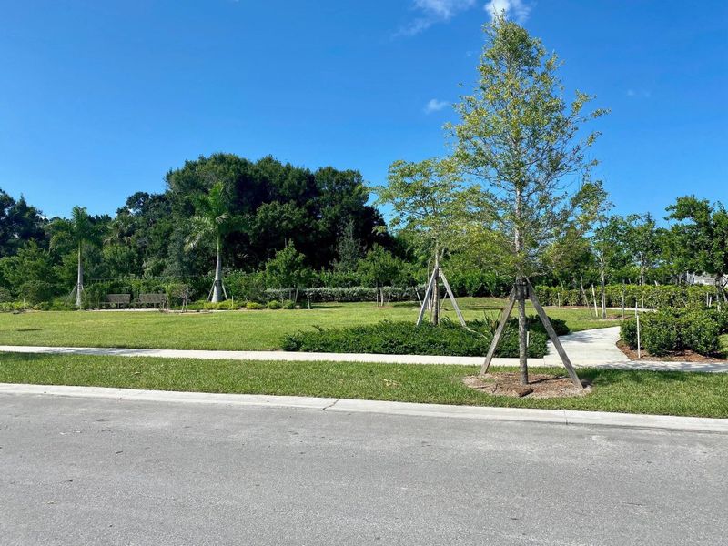 Natural landscape and outdoor views near Costa Pointe in Vero Beach (Image 21). Natural landscape and outdoor views near Costa Pointe in Vero Beach (Image 21).