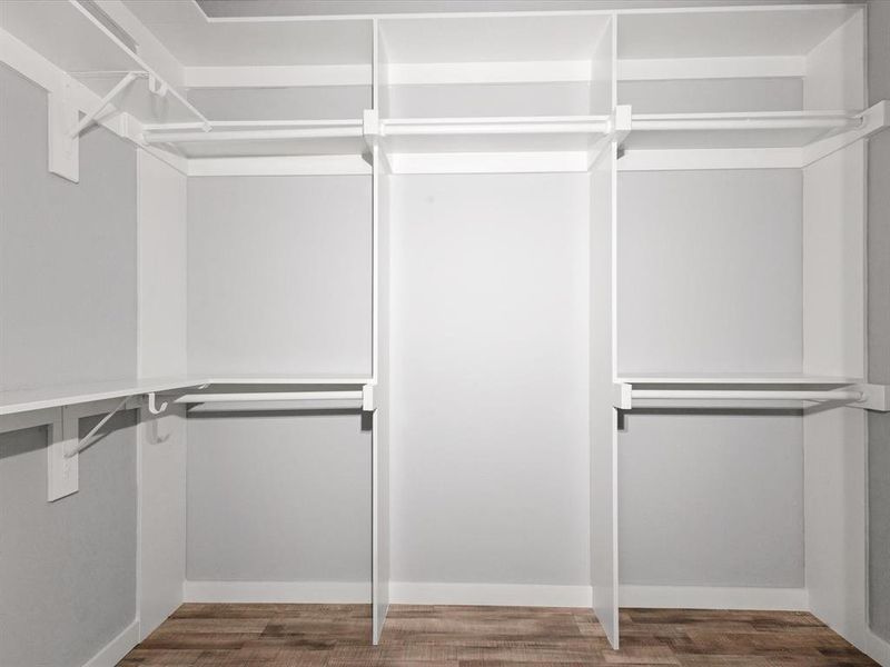 Spacious closet featuring wood finished floors