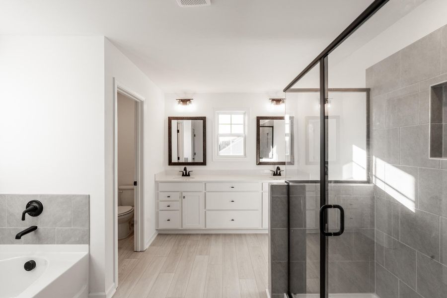 _DSC7997-HDR _DSC7997-HDR