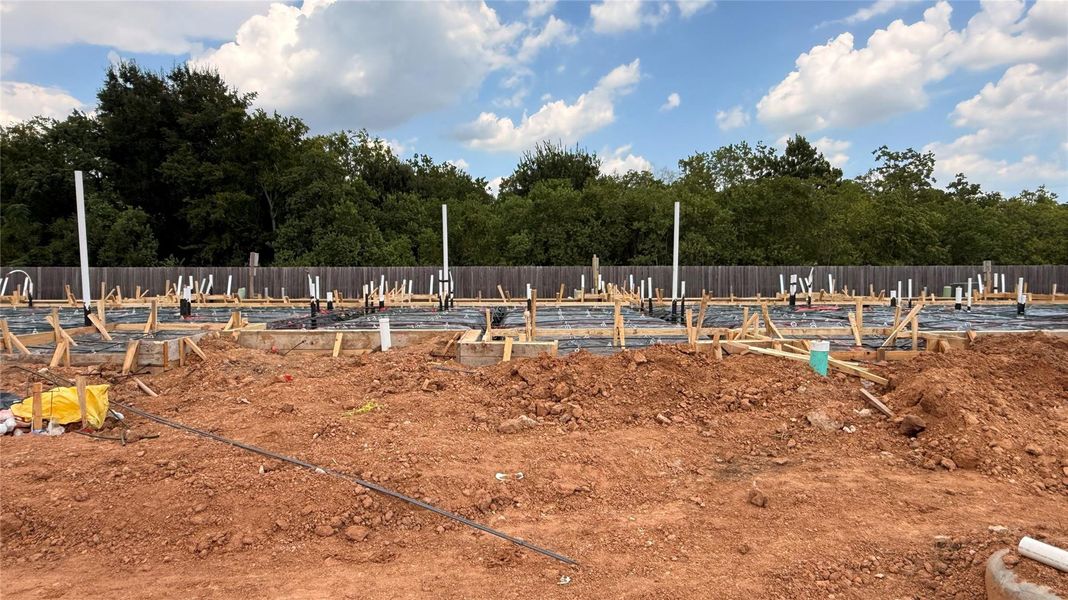 Progress Photo 8/28