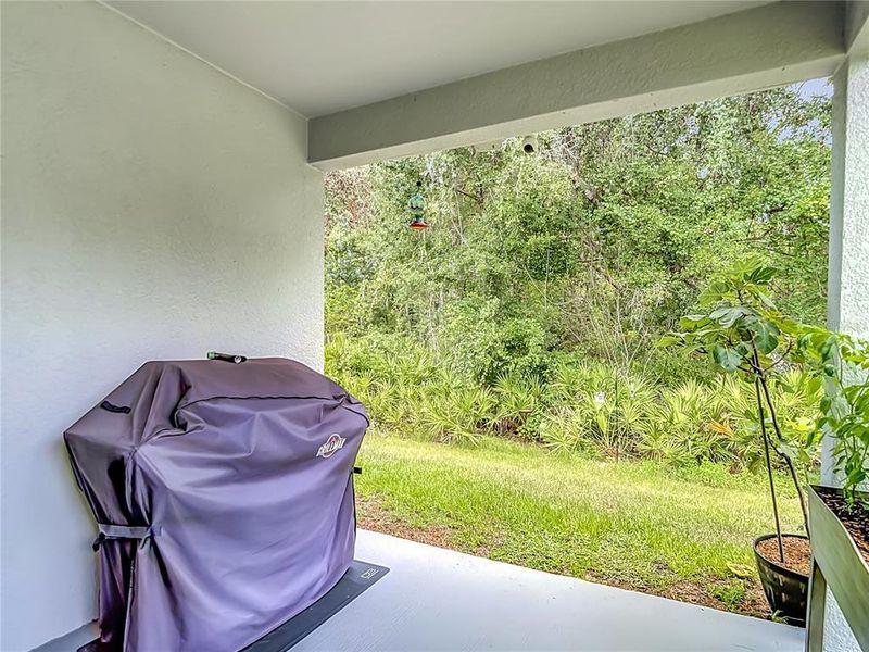 Exterior details and patio area of a home in , New Port Richey (Image 28).