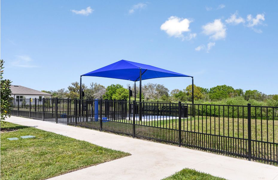 Community amenities in Silverlake, Lake Alfred (Image 20).