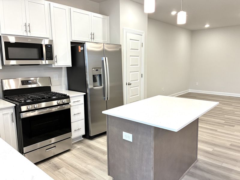 Furnished interior view inside a new home in Reidville Town Center, Reidville (Image 7). Furnished interior view inside a new home in Reidville Town Center, Reidville (Image 7).