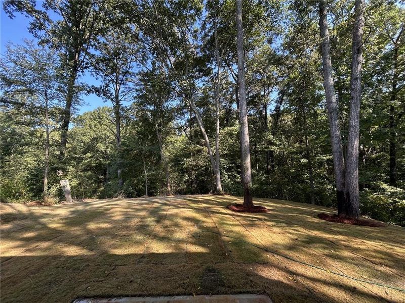Natural landscape and outdoor views near  in Cartersville (Image 31).