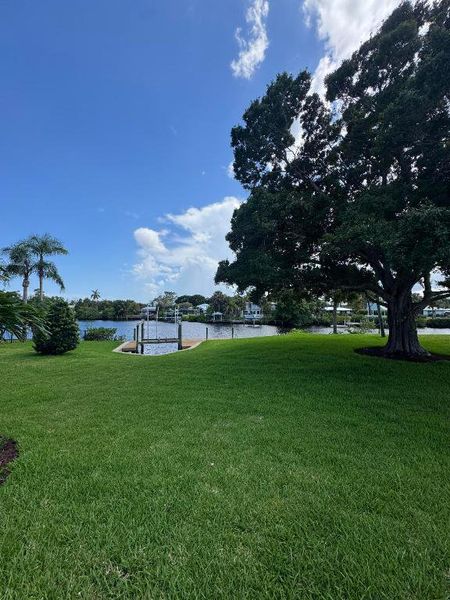 Spruce Water Spruce Water