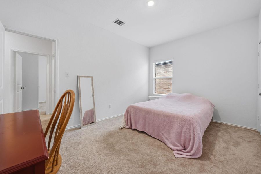 Bright interior room with plush carpet flooring and a single window