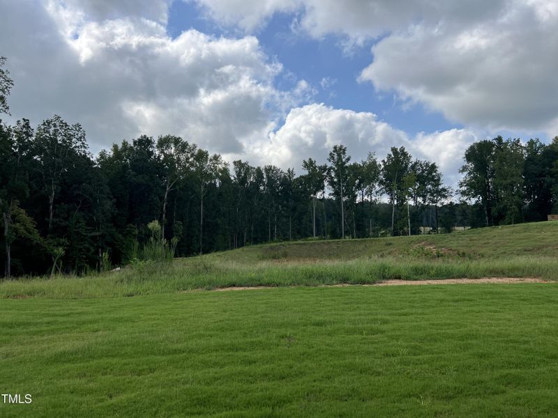 Photo_Aug_16_25 10-43-51 AM