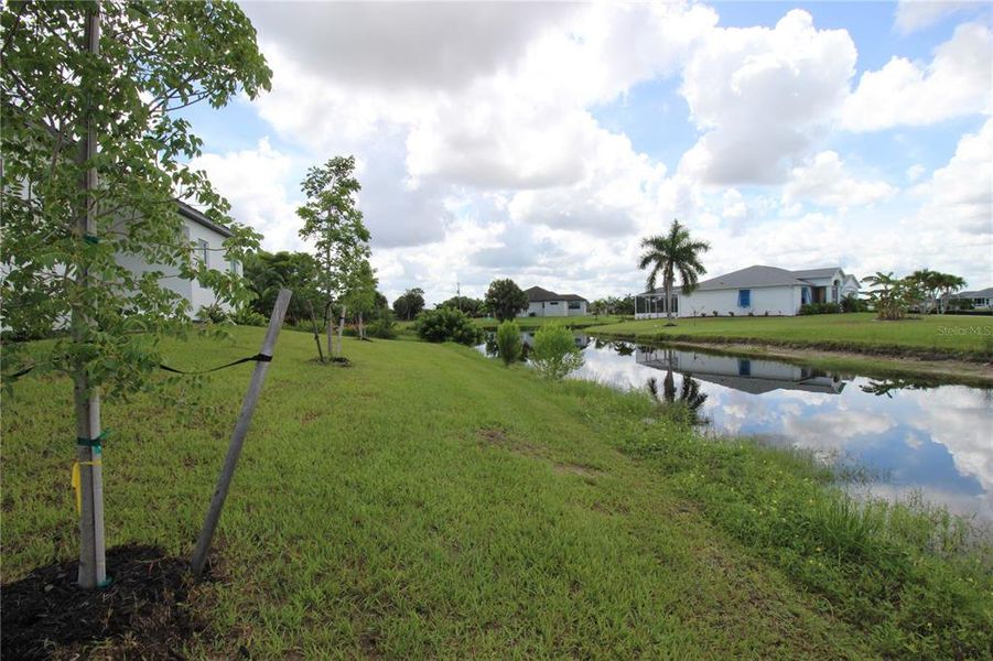 Natural landscape and outdoor views near in Punta Gorda (Image 35). Natural landscape and outdoor views near in Punta Gorda (Image 35).