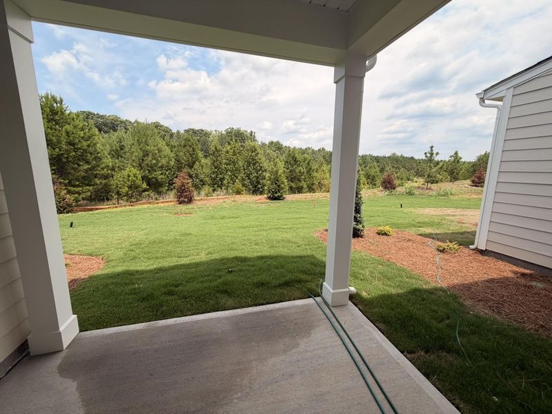 Exterior details and patio area of a home in Blythe Mill Townhomes, Waxhaw (Image 3).