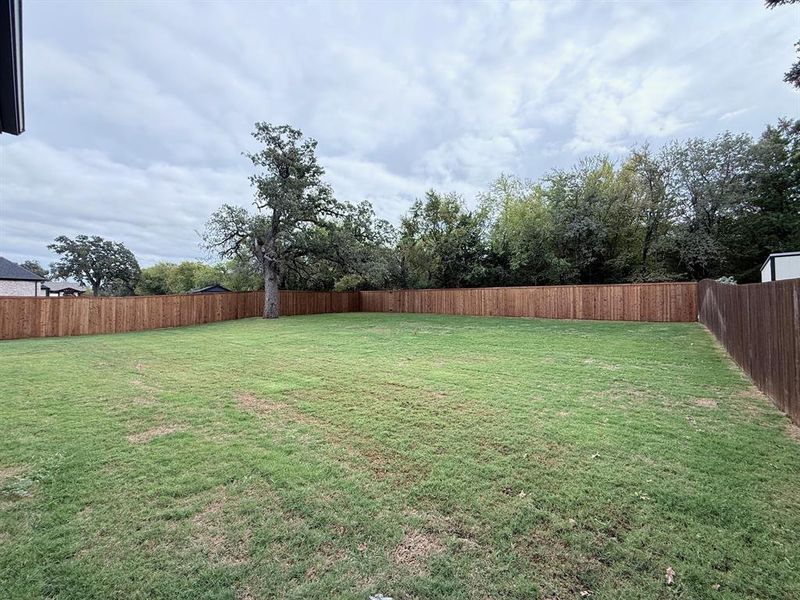View of fenced backyard