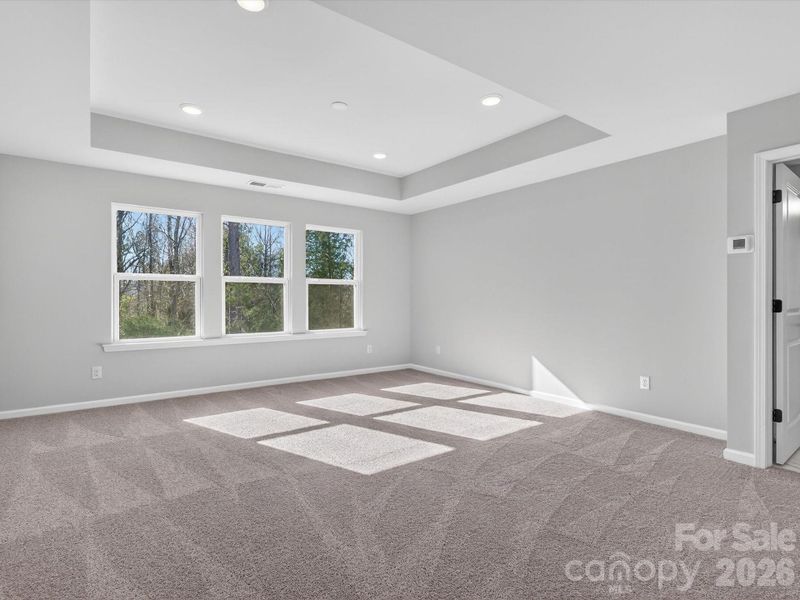 Large Owners suite has tray ceiling, large windows with views of the trees