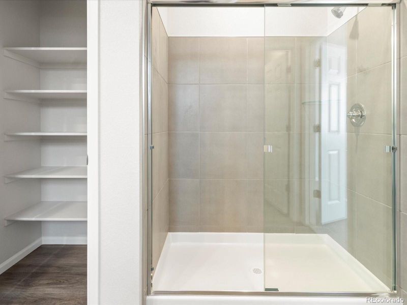 Furnished interior view inside a new home in Poudre Heights: The Alpine Collection, Windsor (Image 6).