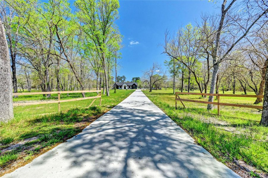 A long, picturesque driveway leads to a charming home set amidst a spacious, tree-filled property. Ideal for those seeking tranquility and privacy in a natural setting.