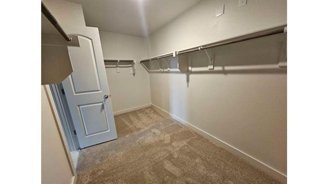 Spacious walk-in closet featuring light-colored carpeting, white walls, and built-in shelving with hanging rods
