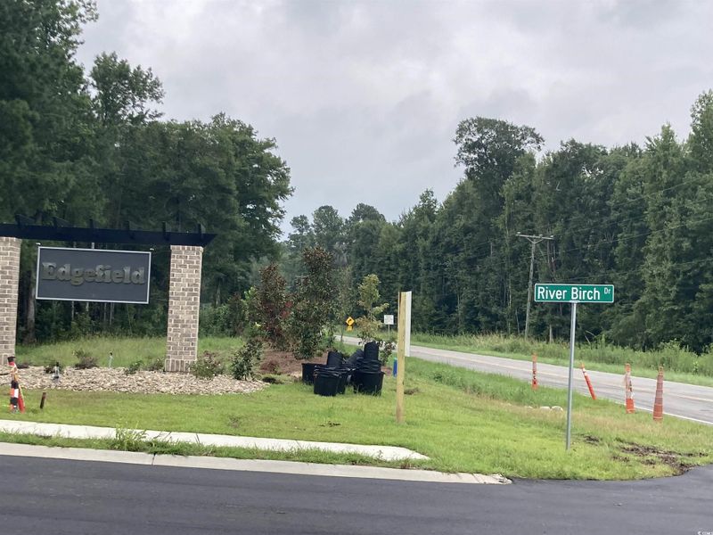 Exterior view of a forest