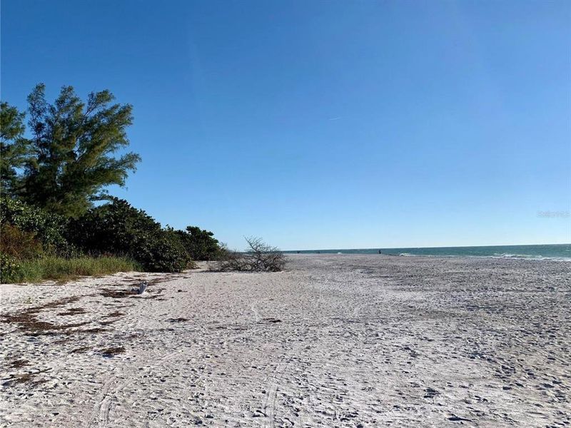 Natural landscape and outdoor views near  in Sarasota (Image 38).