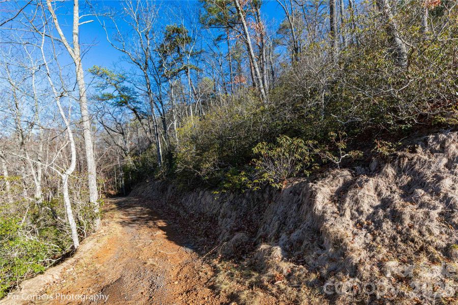 Driveway between sites