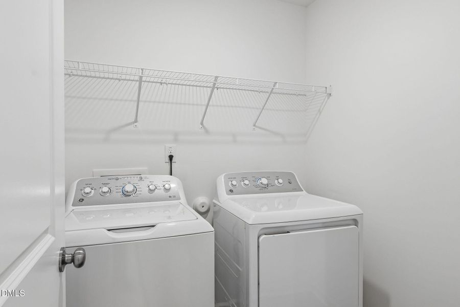 SUN_Marelli_Pic_Sutton-30