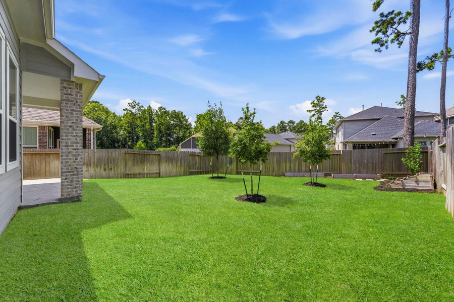 Backyard view