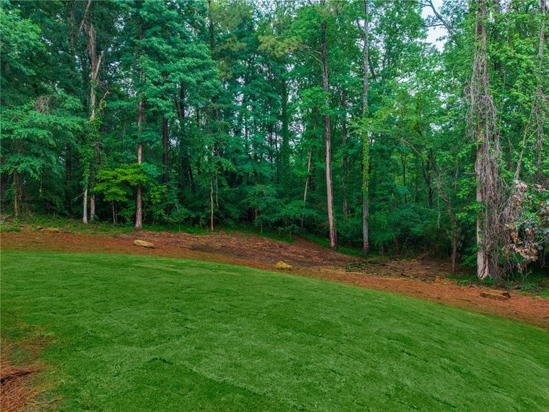 Natural landscape and outdoor views near  in Woodstock (Image 41).