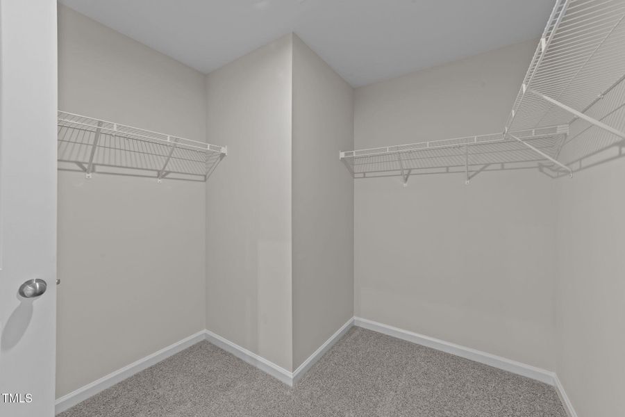 Picture for reference only.