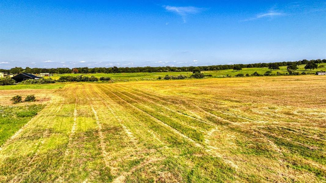 Natural landscape and outdoor views near Parallel Pastures in Poolville (Image 24).