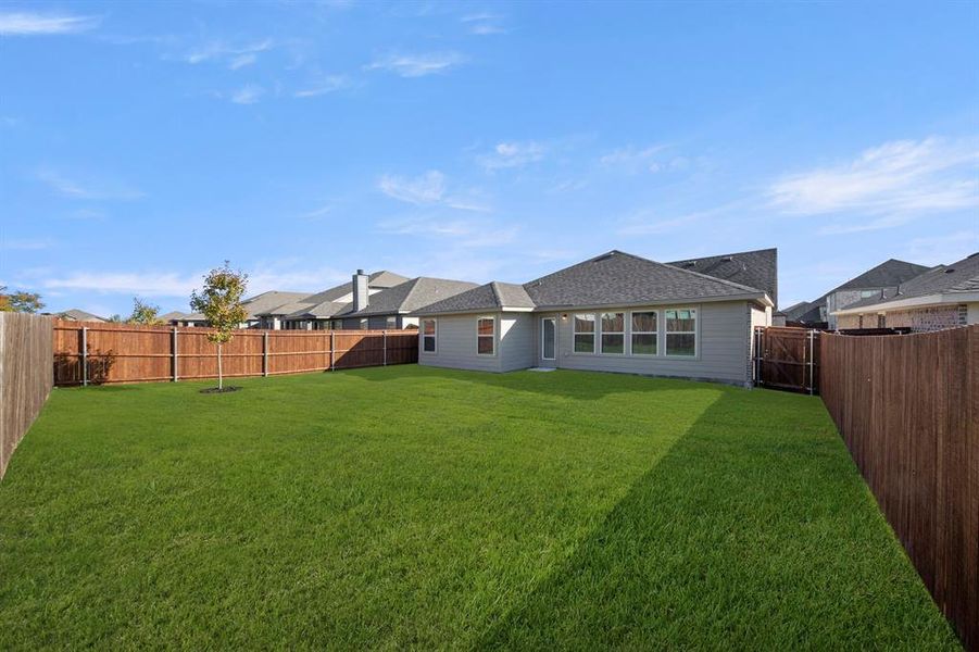 27. 3270 Ribisl - Back (2) 27. 3270 Ribisl - Back (2)