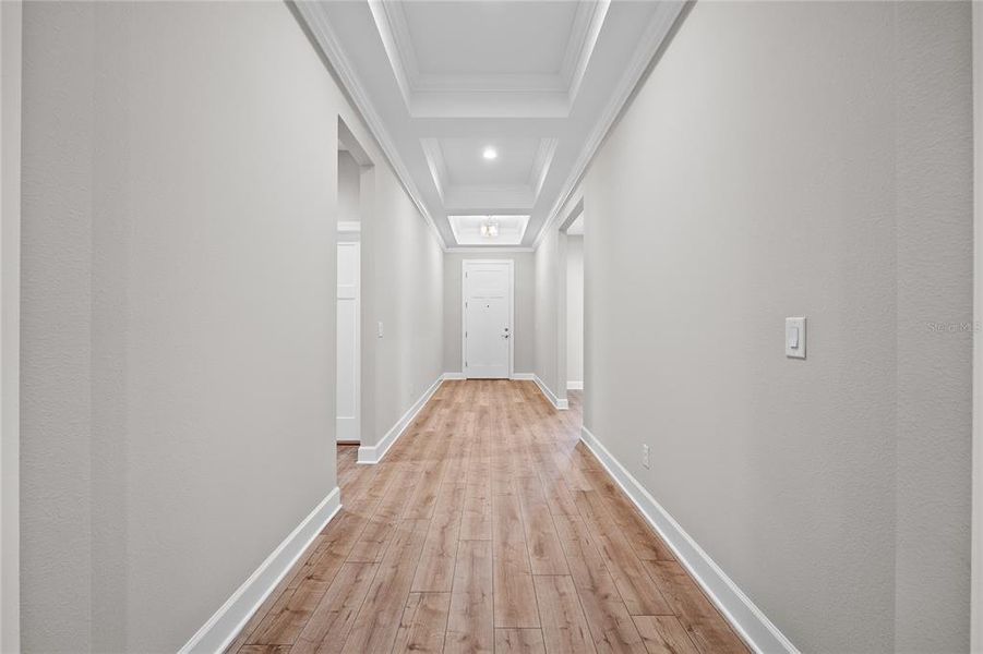 Spacious, unfurnished interior of a new home in , Mulberry (Image 20).