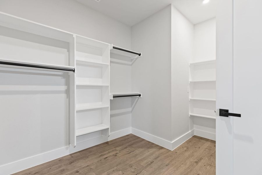 Spacious closet featuring light wood finished floors