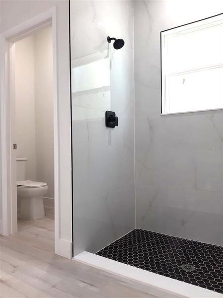 Master Bathroom Walk In Shower and Private Toilet