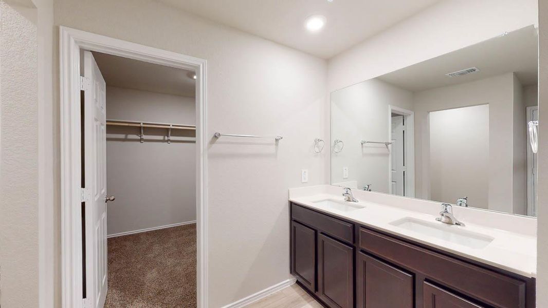 Bathroom with a spacious closet, double vanity, and light carpet