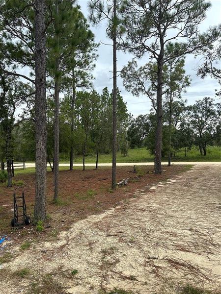 Natural landscape and outdoor views near in Morriston (Image 13). Natural landscape and outdoor views near in Morriston (Image 13).