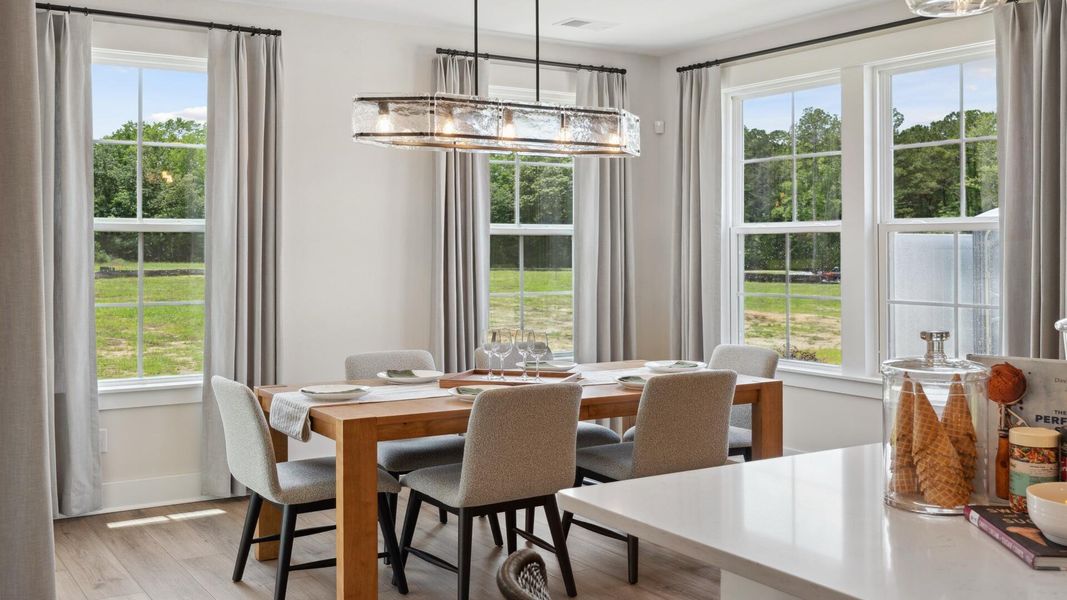 Furnished interior view inside a new home in Creekside at Andrews, Summerville (Image 15).