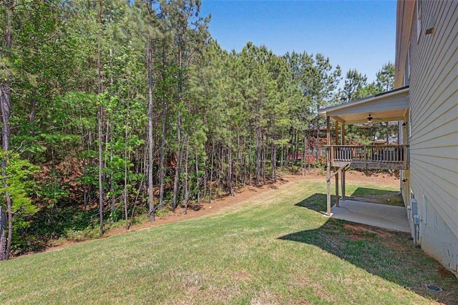 Exterior details and patio area of a home in The Estates at Hurricane Pointe, Douglasville (Image 29).
