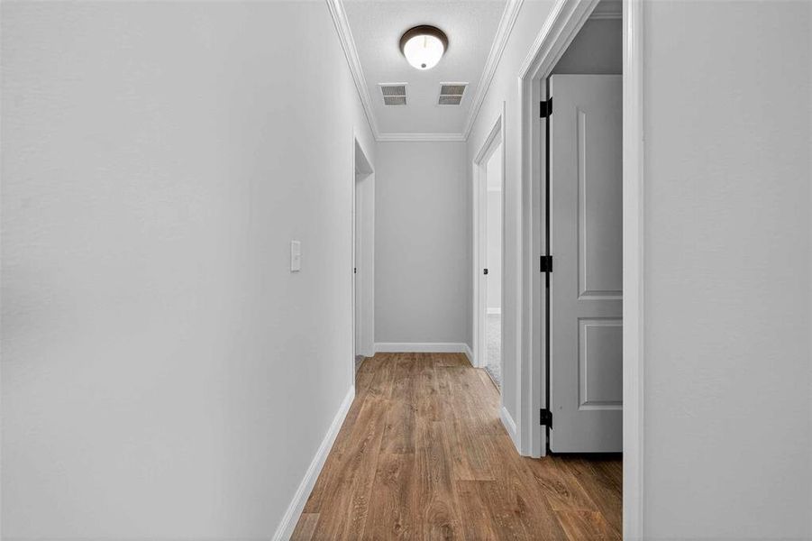 Hall featuring crown molding and light wood finished floors Hall featuring crown molding and light wood finished floors