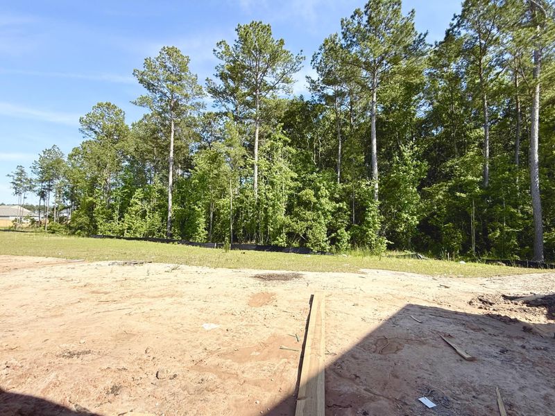 Natural landscape and outdoor views near  in Summerville (Image 53).