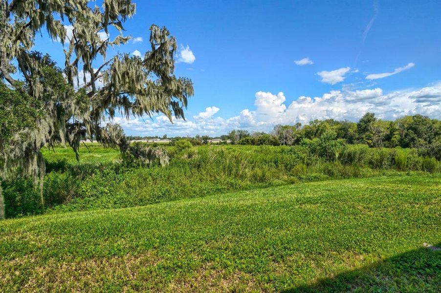 Natural landscape and outdoor views near in Bartow (Image 34). Natural landscape and outdoor views near in Bartow (Image 34).