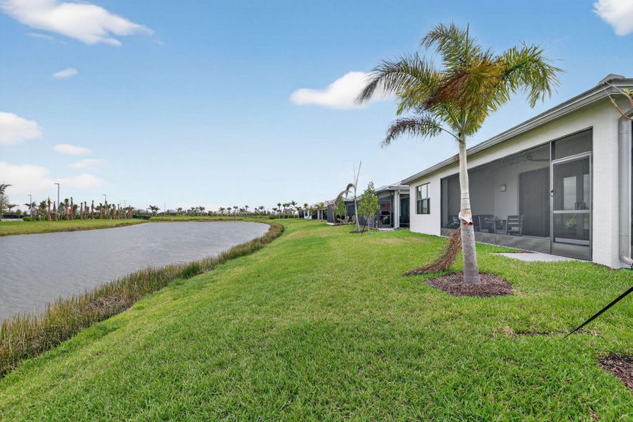 36-web-or-mls-3A5A0484