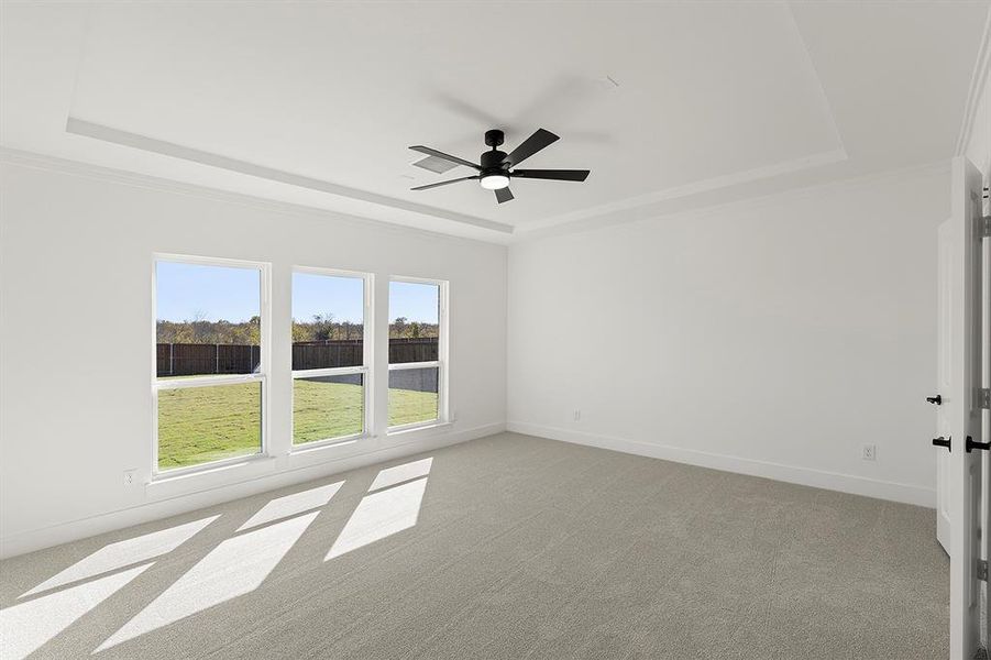 14_15. 953 Gold Finch - Primary