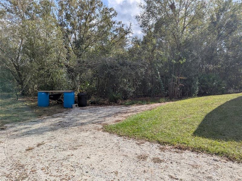Natural landscape and outdoor views near  in Arcadia (Image 39).