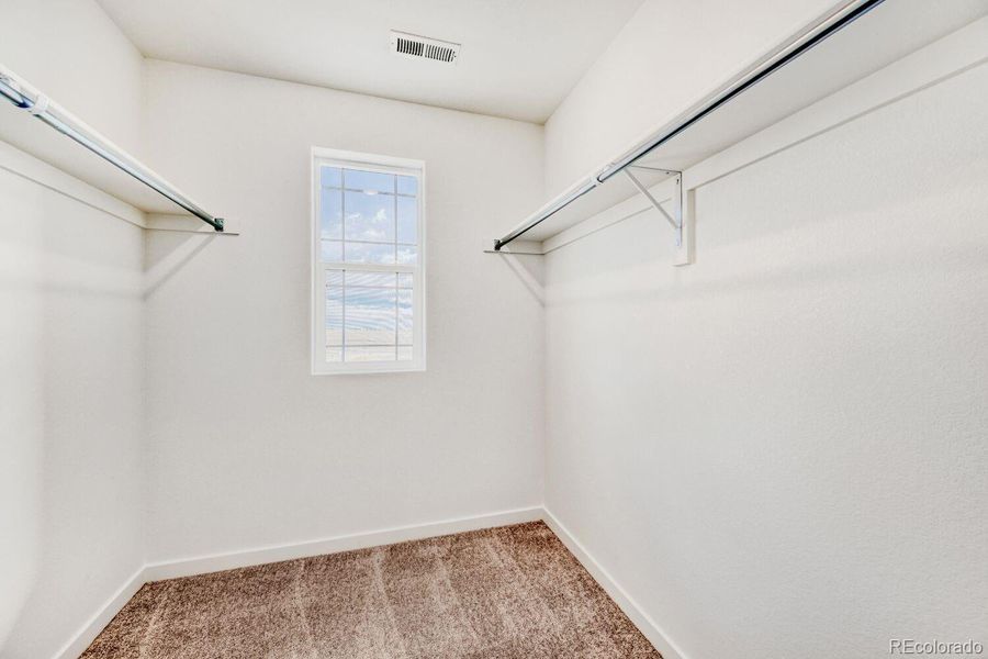 Spacious, unfurnished interior of a new home in Percheron, Colorado Springs (Image 9).