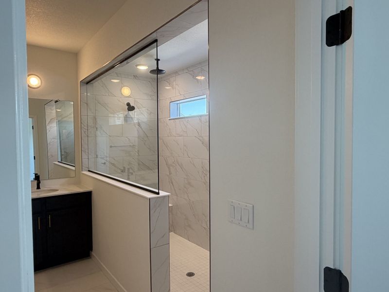 Owner's Bath