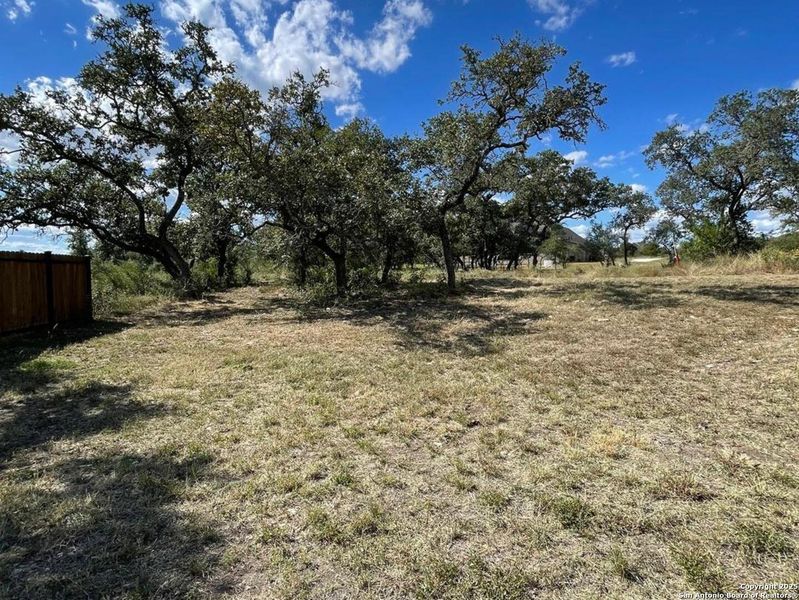 Natural landscape and outdoor views near  in Castroville (Image 28).