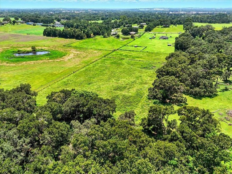Natural landscape and outdoor views near  in Dade City (Image 6).