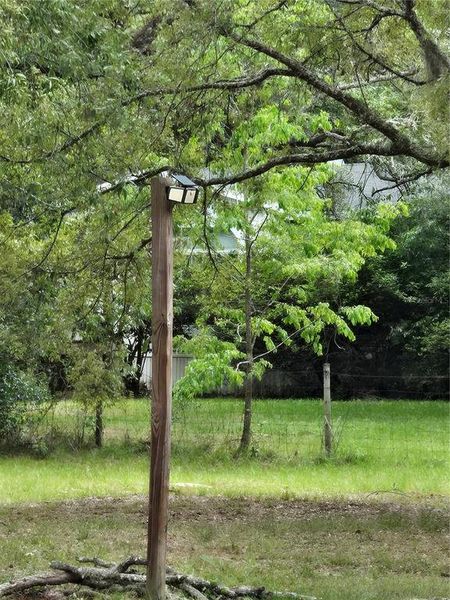 Natural landscape and outdoor views near  in Spring Hill (Image 30).